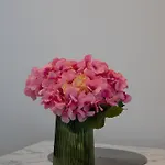 公寓 Petra