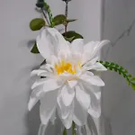 Petra 公寓